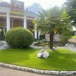 Tulip 3*