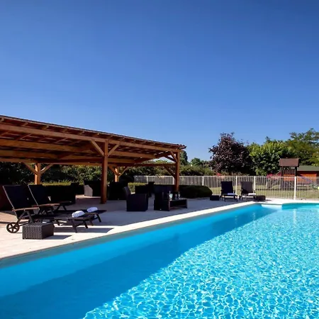 Tulip Beaune (Cote d'Or)