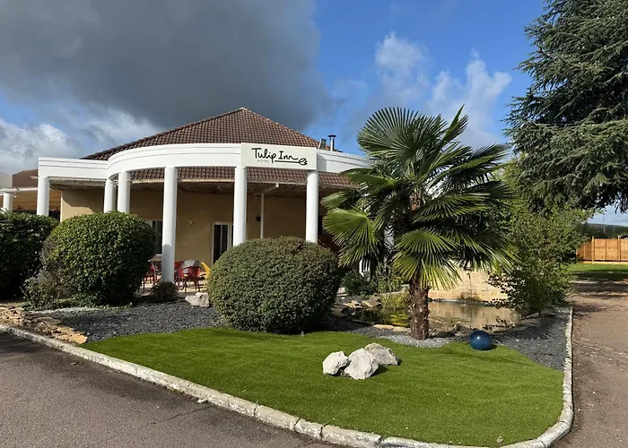 Tulip فندق بون