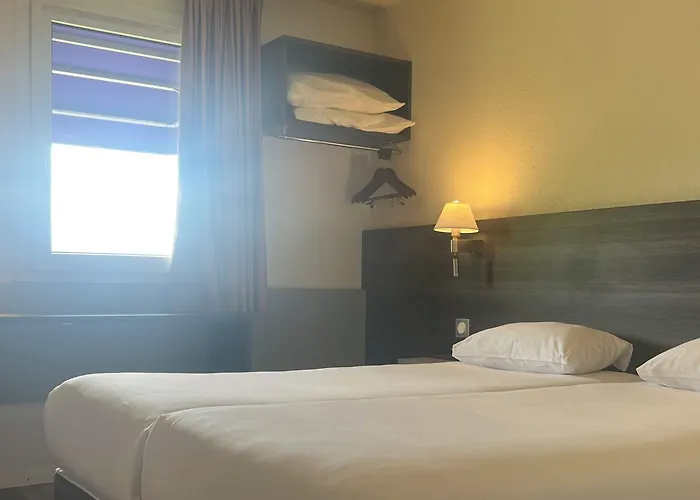 Tulip Beaune (Cote d'Or)