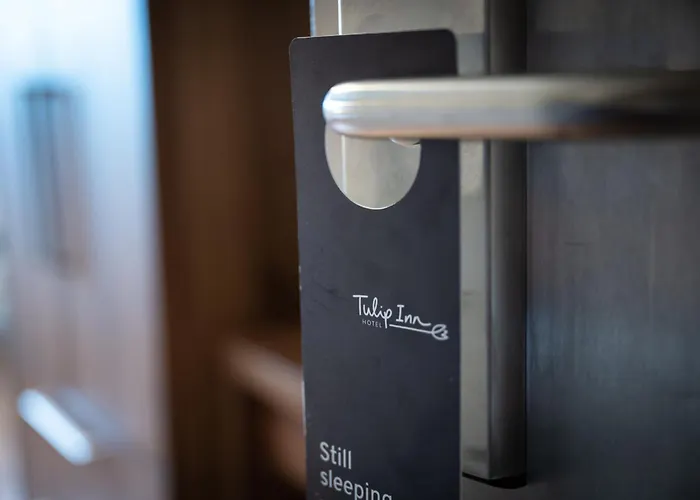 Tulip فندق